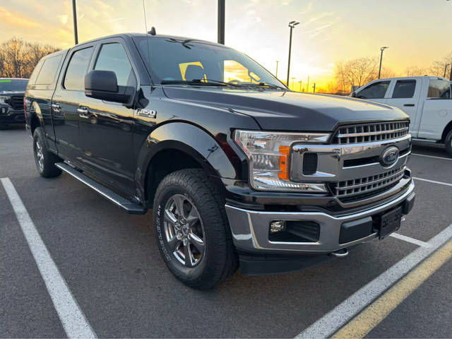 2020 Ford F-150 XLT 4WD photo