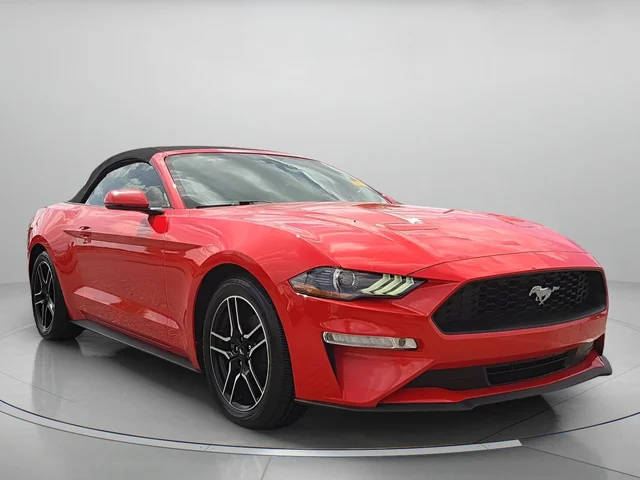 2019 Ford Mustang EcoBoost RWD photo