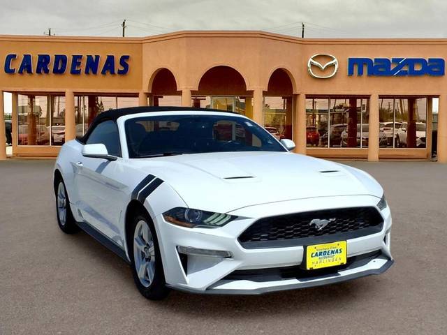 2019 Ford Mustang EcoBoost RWD photo