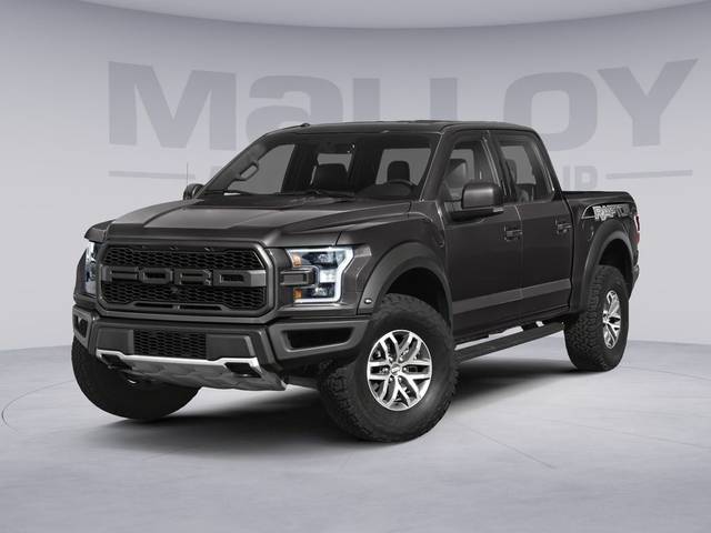 2020 Ford F-150 Raptor 4WD photo