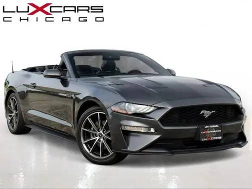2019 Ford Mustang EcoBoost Premium RWD photo