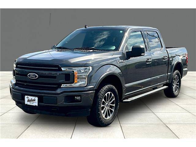 2020 Ford F-150 XLT 4WD photo