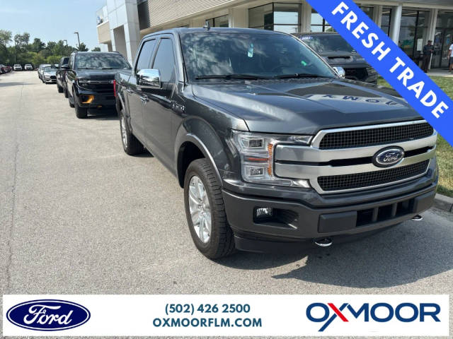 2020 Ford F-150 Platinum 4WD photo
