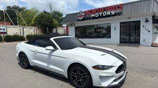 2019 Ford Mustang EcoBoost RWD photo