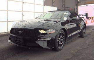2019 Ford Mustang EcoBoost RWD photo