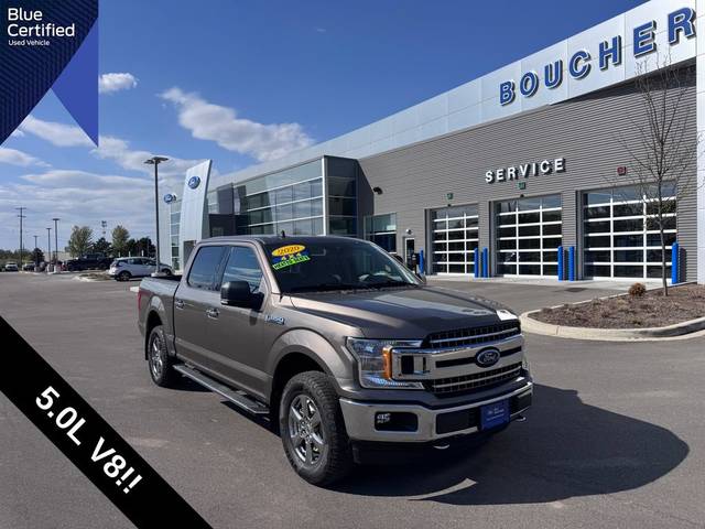 2020 Ford F-150 XLT 4WD photo