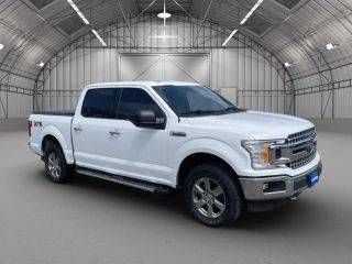 2019 Ford F-150 XLT 4WD photo