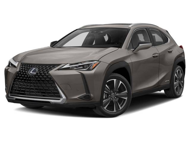 2020 Lexus UX UX 250h AWD photo