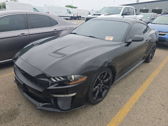 2020 Ford Mustang EcoBoost RWD photo