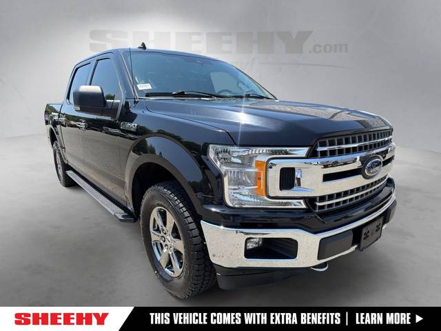 2020 Ford F-150 XLT 4WD photo