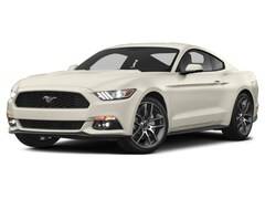 2015 Ford Mustang GT 50 Years Limited Edition RWD photo