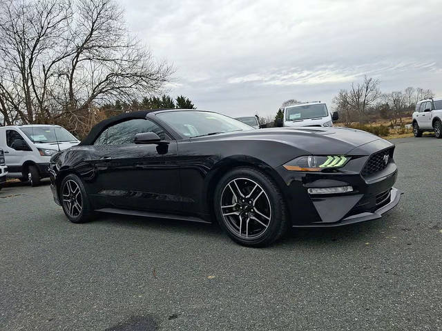 2020 Ford Mustang EcoBoost Premium RWD photo