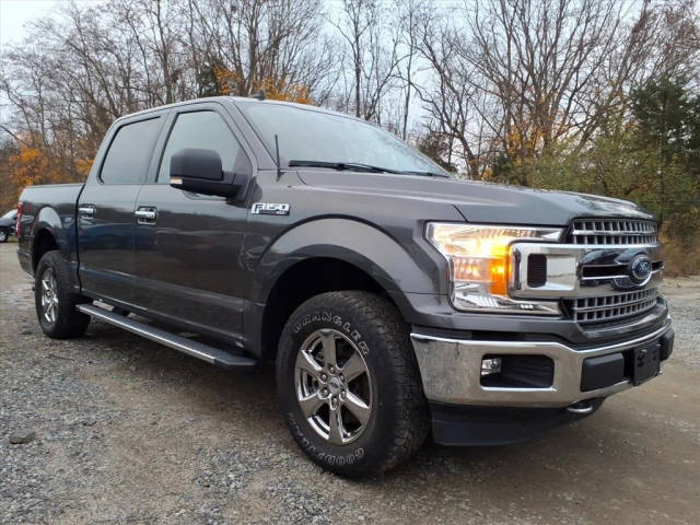 2020 Ford F-150 XLT 4WD photo