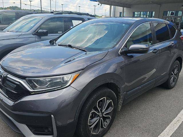 2020 Honda CR-V EX-L AWD photo