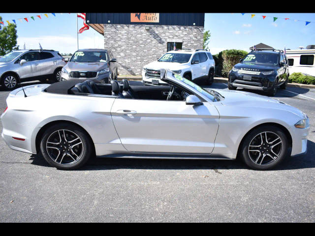 2019 Ford Mustang EcoBoost RWD photo