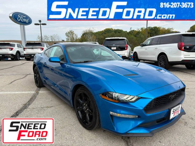 2020 Ford Mustang EcoBoost RWD photo