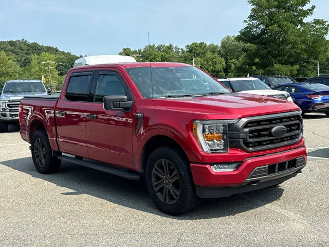 2021 Ford F-150 XLT 4WD photo