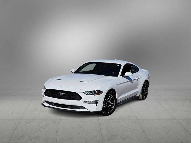 2020 Ford Mustang EcoBoost RWD photo