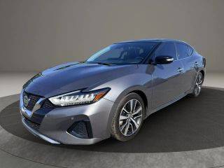 2020 Nissan Maxima SL FWD photo