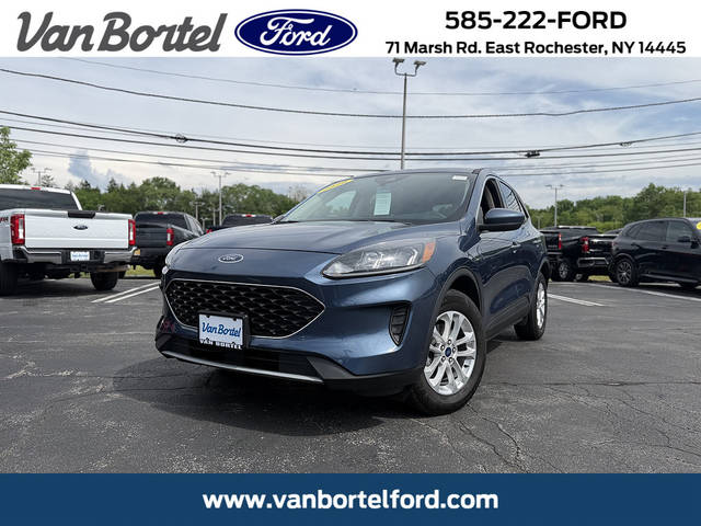 2020 Ford Escape SE AWD photo