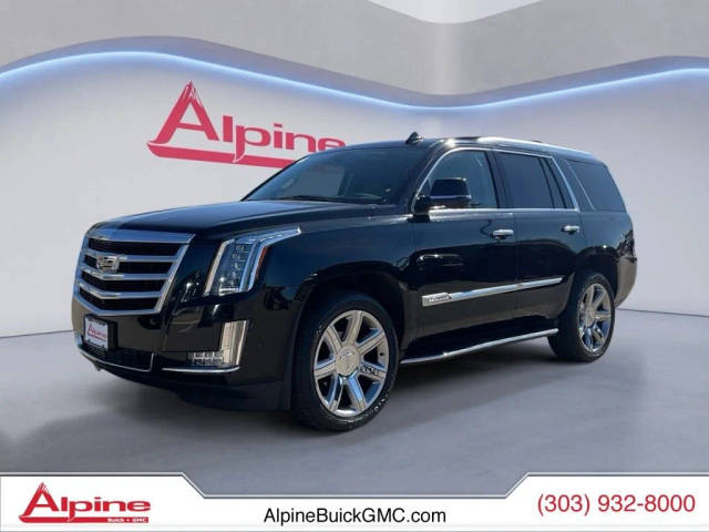 2020 Cadillac Escalade Luxury 4WD photo