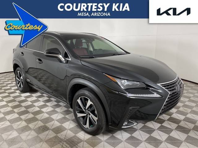 2021 Lexus NX NX 300h AWD photo