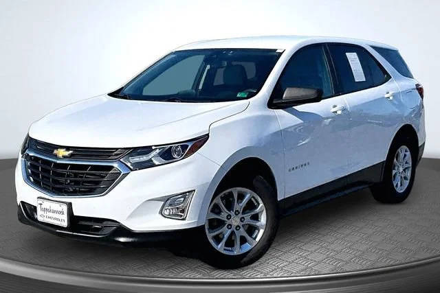 2021 Chevrolet Equinox LS FWD photo