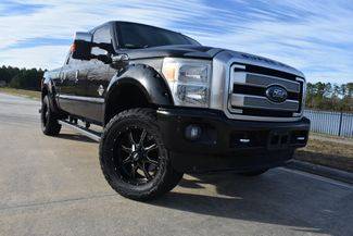 2015 Ford F-250 Super Duty Platinum 4WD photo