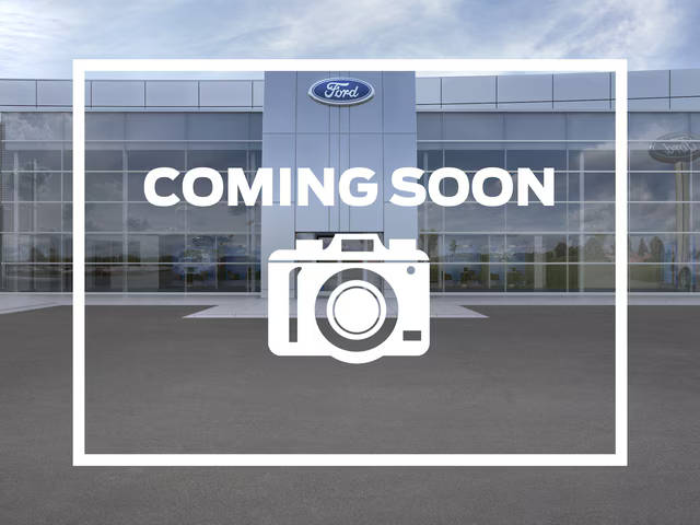 2020 Ford Expedition Max Limited 4WD photo