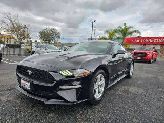 2020 Ford Mustang EcoBoost RWD photo