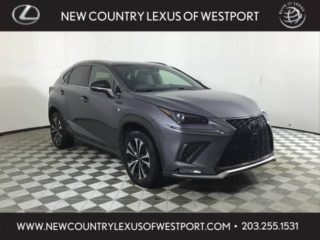 2021 Lexus NX NX 300 F SPORT AWD photo