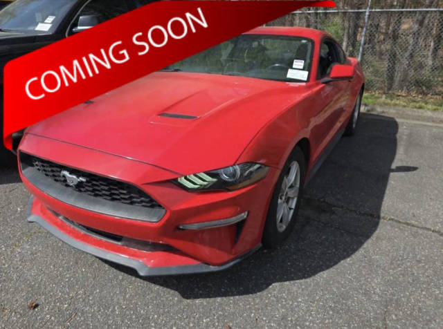 2020 Ford Mustang EcoBoost RWD photo