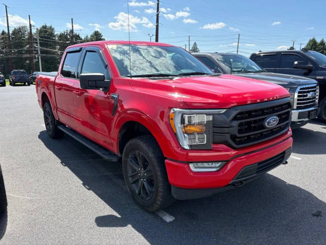 2021 Ford F-150 XLT 4WD photo