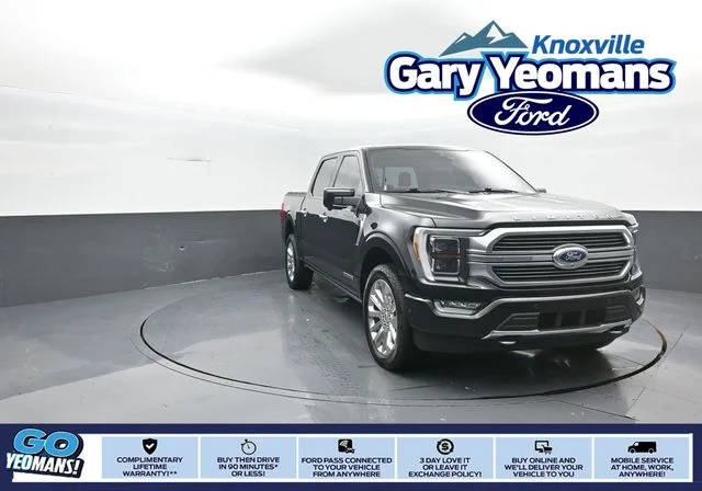 2021 Ford F-150 Limited 4WD photo