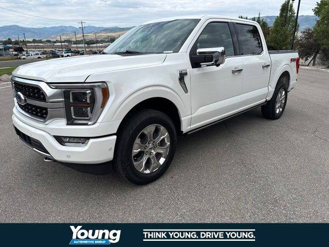 2021 Ford F-150 Platinum 4WD photo