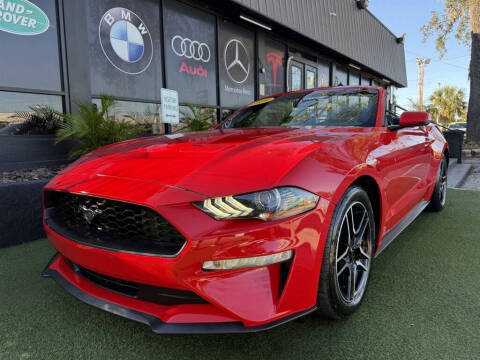 2019 Ford Mustang EcoBoost RWD photo