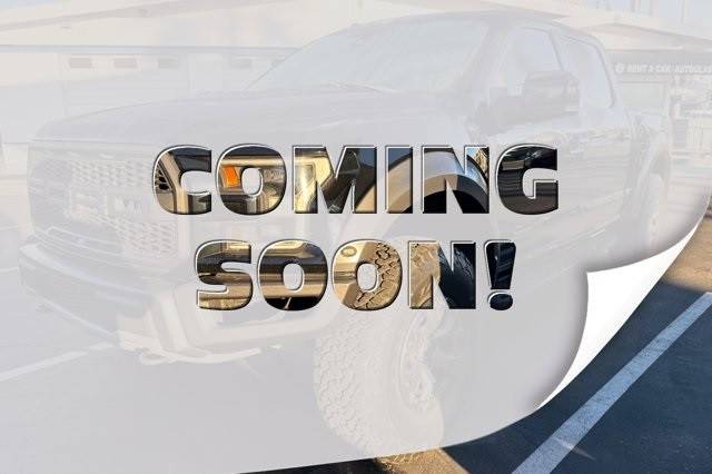 2017 Ford F-150 Raptor 4WD photo