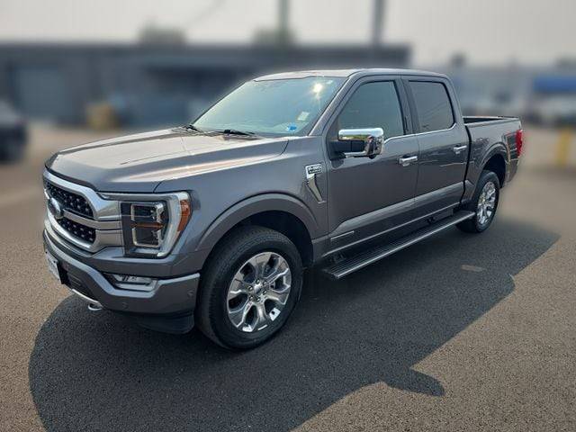 2021 Ford F-150 Platinum 4WD photo