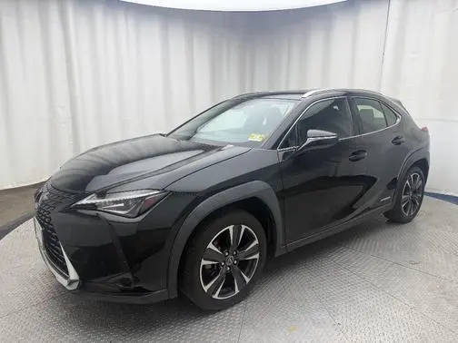 2021 Lexus UX UX 250h AWD photo