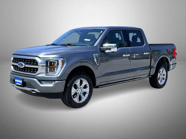2021 Ford F-150 Platinum 4WD photo