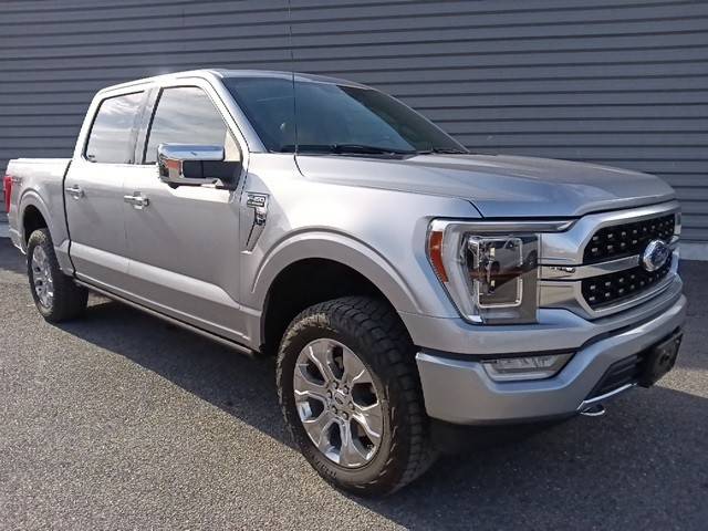 2021 Ford F-150 Platinum 4WD photo