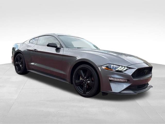 2021 Ford Mustang EcoBoost RWD photo
