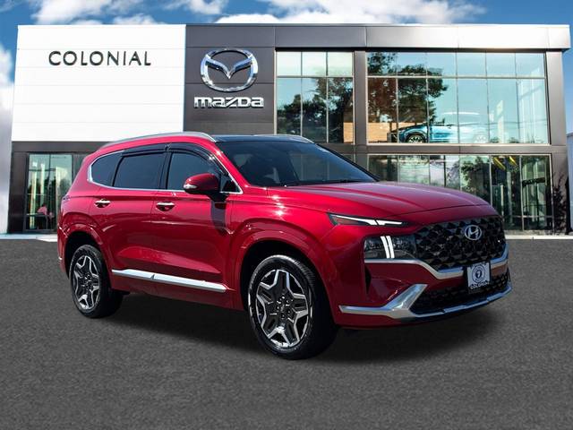 2021 Hyundai Santa Fe Calligraphy AWD photo
