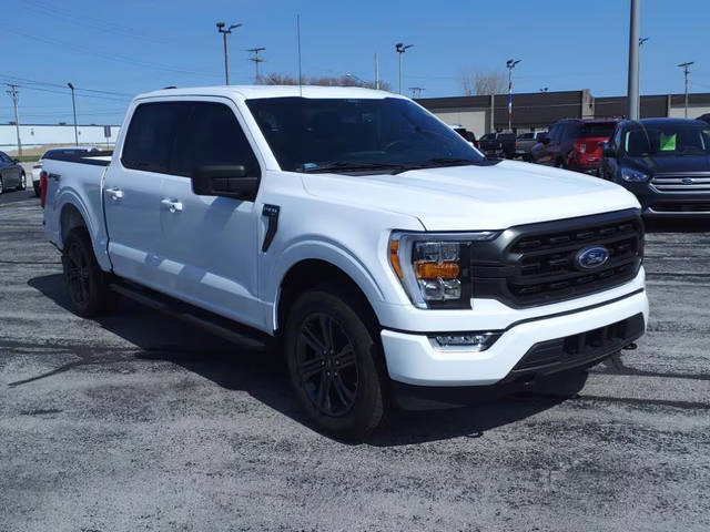 2021 Ford F-150 XLT 4WD photo