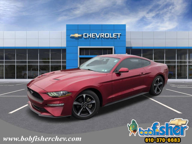 2021 Ford Mustang EcoBoost RWD photo