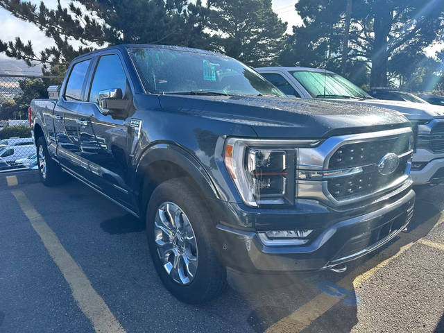 2021 Ford F-150 Platinum 4WD photo