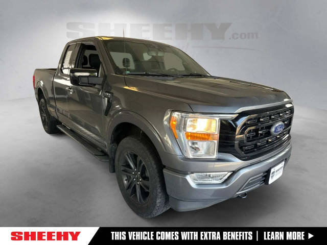 2021 Ford F-150 XLT 4WD photo