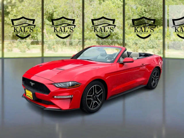 2019 Ford Mustang EcoBoost RWD photo