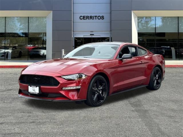 2021 Ford Mustang EcoBoost RWD photo