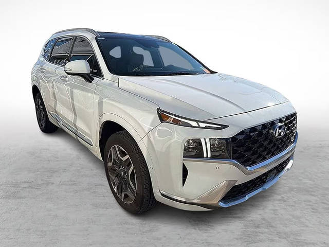 2021 Hyundai Santa Fe Calligraphy AWD photo